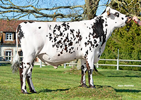 REBOURS (Nacre x Jesse PC)